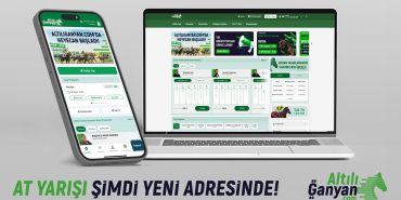 1717407402_AltiliGanyan.com__1_