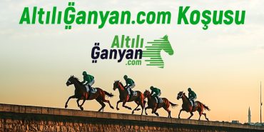 1732175400_Alt__l__Ganyan.com_Ko__usu