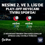 1776859367_Play_Off_Tivibu