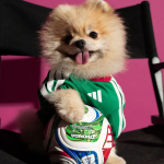 1777879700_WC26_AWAY_DOGS_3x4_32