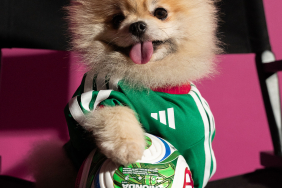 1777879700_WC26_AWAY_DOGS_3x4_32