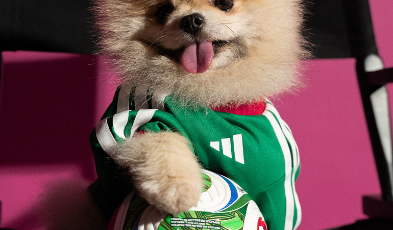1777879700_WC26_AWAY_DOGS_3x4_32